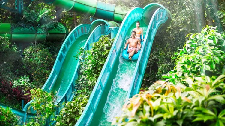 Adventure Cove Waterpark gallery image