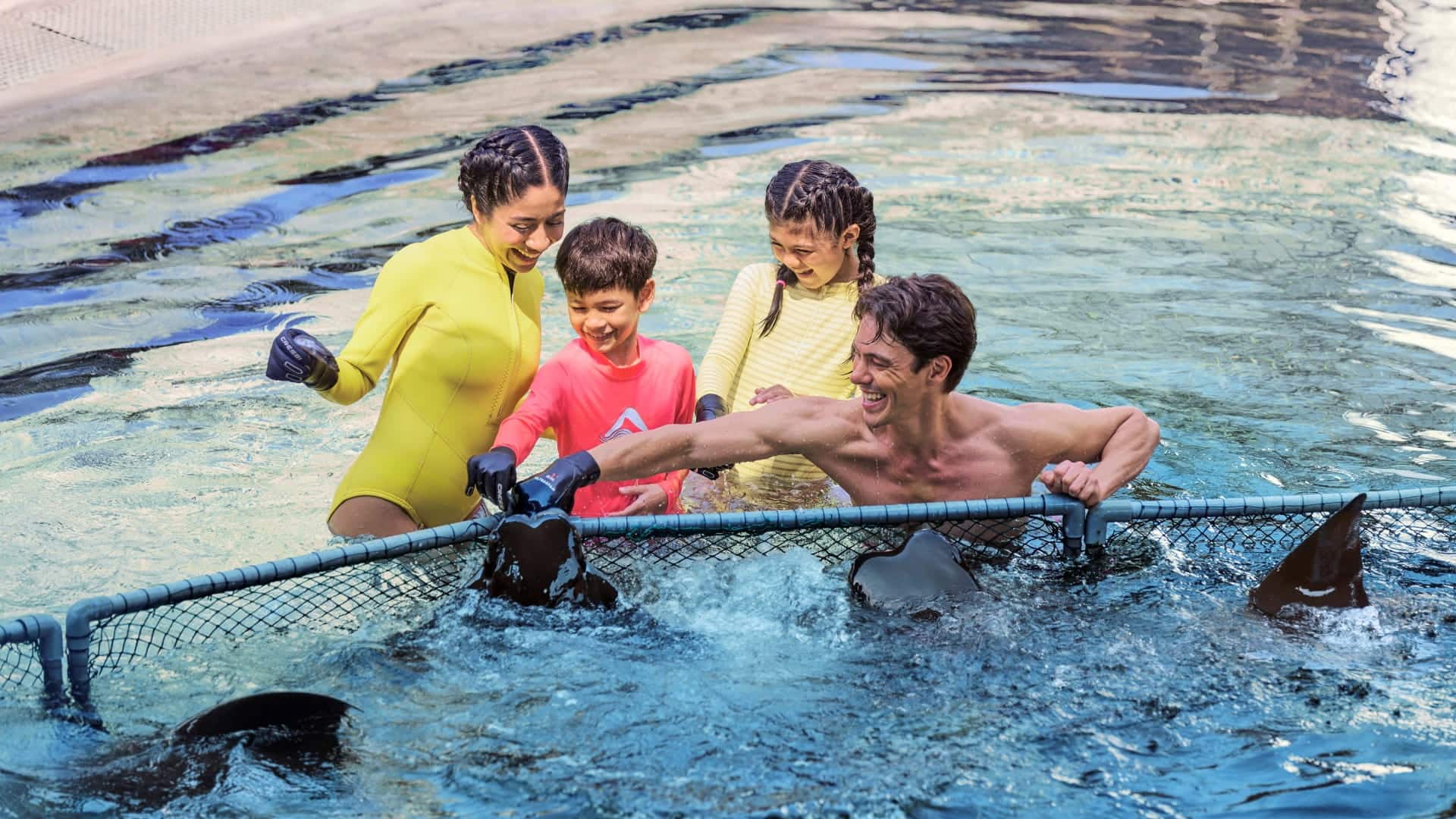 Adventure Cove Waterpark